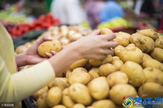  卖土豆的故事（买土豆的故事管理思考）
