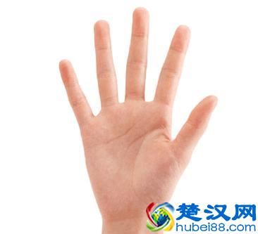 如何看手相（大师教你看手相）
