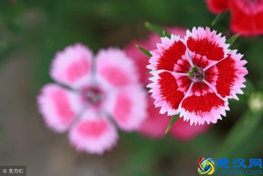  如何做人（记住这7条做人的底线就行）