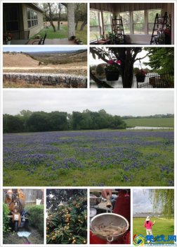  美国德州怎么样（美国德州在哪个位置）