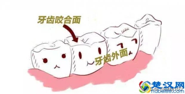  为什么会磨牙怎么治（为什么睡着了会磨牙齿）