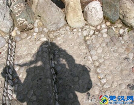  滚犊子是什么意思最佳回复（别人说你滚犊子）