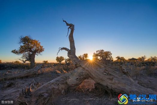  随心所欲是什么意思（随心所欲的女人的性格）