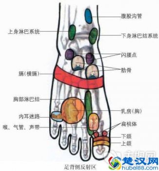  被细小鱼刺卡住喉咙怎么办（鱼刺卡喉咙会自己化吗）