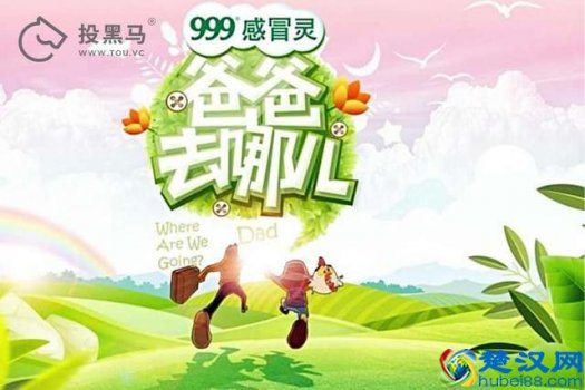  网络冠名是什么意思（金主爸爸是如何乘借电视节目东风）