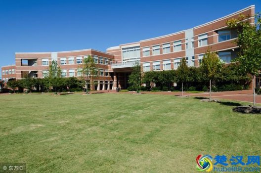  学生会活动（学生会活动有哪些）