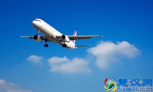  物流师资格证（种类汇点）