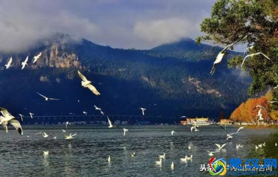  冬天适合旅游的七个地方，每一个都非常好玩（强烈推荐）