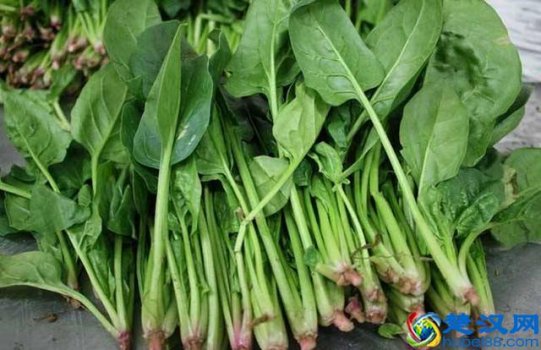  菠菜不能和什么一起吃，食用禁忌千万不能和这几种食物一起吃