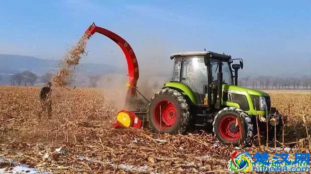  秸秆是什么农作物？如何利用秸秆做肥料