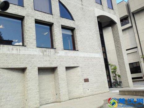  现在读什么专业就业前景好（去国外留学选什么专业最好呢）