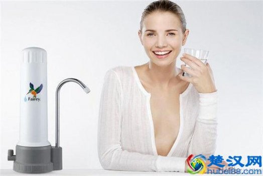  道尔顿净水器怎么样?值得你入手