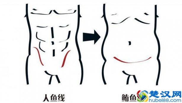  什么叫人鱼线女生（什么是马甲线）