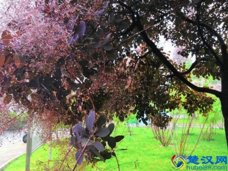  旱烟斗怎么用(烟斗里面能镶铜锅吗)