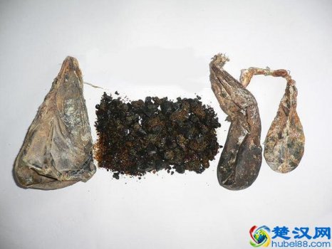  归真堂熊胆粉怎么吃（什么人不能吃熊胆粉）