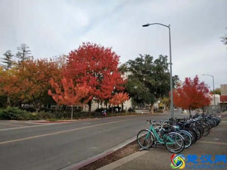  出生证明怎么开出国(2019出生证明新规定)