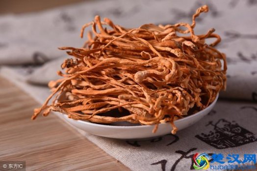  冬虫夏草是什么样子如何形成(中科院终于说实话了冬虫夏草真的能抗癌吗)