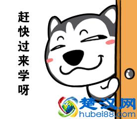  照片删除恢复的软件有哪些（这个软件可以免费恢复）