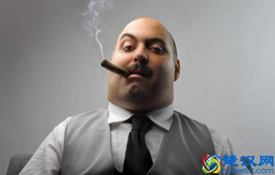  网络创业项目有哪些（2019网络项目排行榜）