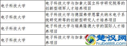  2019创新型项目有哪些（2019做什么生意赚钱）