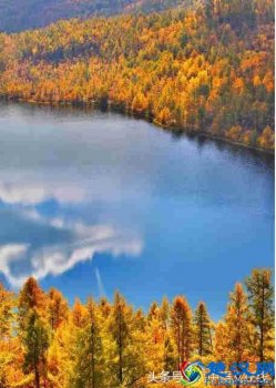  论证方法有哪些（议论文常见的四种论证方法）