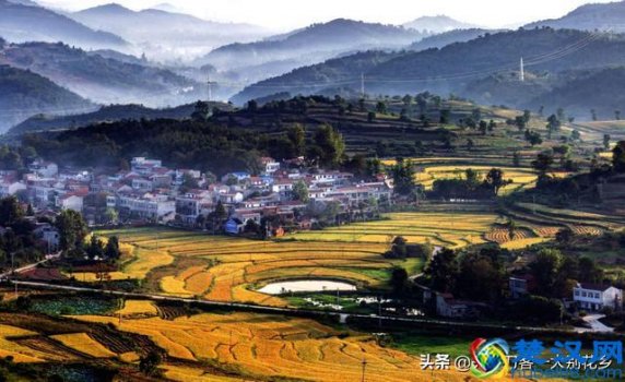  表现手法有哪些（修辞手法、表达方式、表现手法）