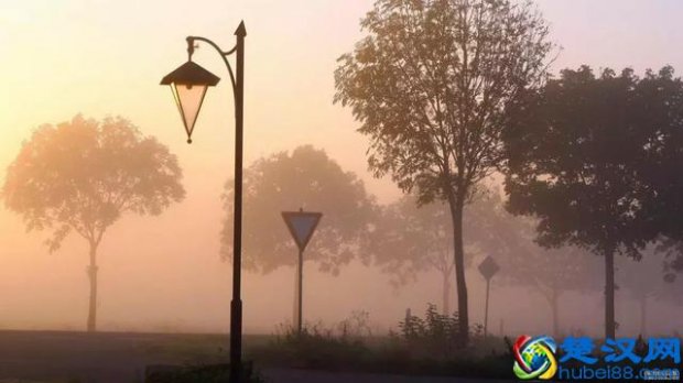  表达方式有哪些（常用表达方式都在这里）