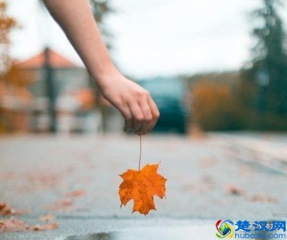  写作手法有哪些（常见的写作手法都有哪些？）