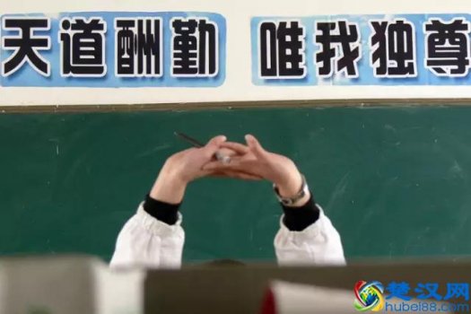  说明方法有哪些（小学语文常用说明方法集锦）