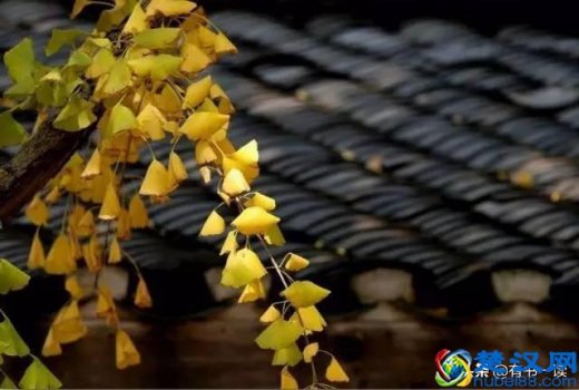  人生的意义是什么（人生的意义与价值是什么）