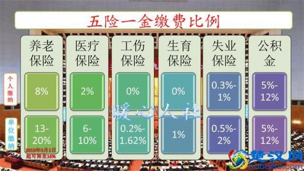  养老金新政策有哪些内容(2019年养老金政策有六大变化)