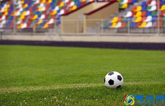  足球基本技巧图解（足球的基本技巧有哪些）