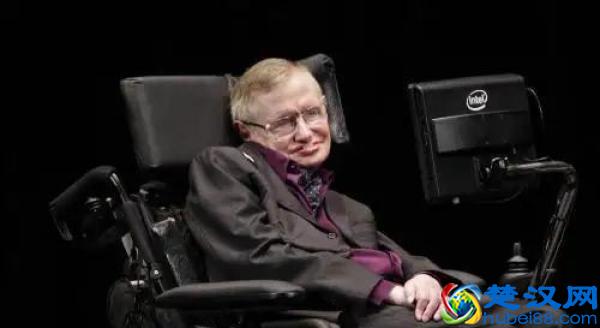  世界上智商最高的人是谁是多少（地球上智商最高的3个人）