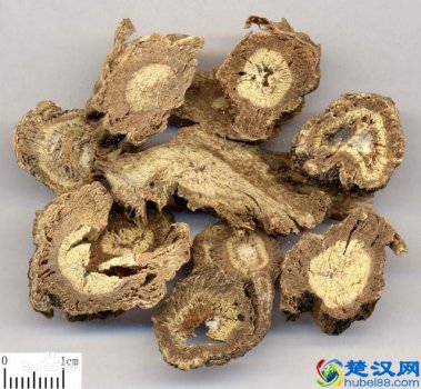  独活的功效与作用有哪些（中药独活性味归经及药对功效）