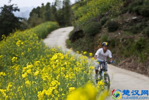  中国最适合居住的城市排名（中国最适合定居的五大城市）