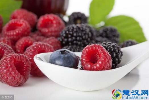  覆盆子种植条件有哪些（覆盆子的种植技术）