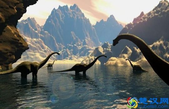  放暑假好无聊怎么办（孩子放暑假没人看怎么办）