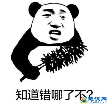  什么牌子学习机好（学习机选它准没错）