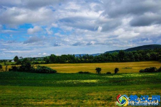  美国波士顿大学申请要什么条件（美国波士顿大学申请时间）