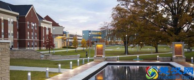  美国留学申请需要什么条件（美国留学申请要注意什么问题）