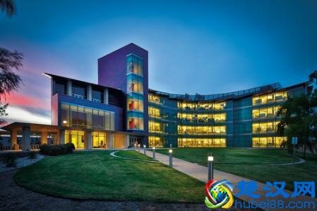  美国德州大学排名情况（美国德州大学哪些最好）