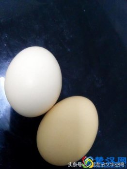  扯蛋是什么意思（无聊闲扯蛋是指什么）