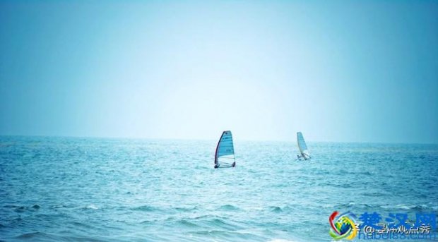  治愈系什么意思（治愈系文化是指什么）