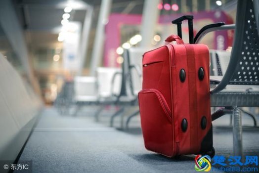  大学生20寸行李箱什么牌子好（推荐9个质量好、颜值高又平价的行礼箱）