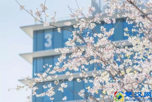  公司岗位绩效是什么意思（你应该知道的绩效的3个层次和3种绩效观）