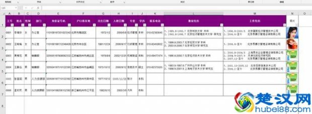  如何用excel做表格（教你制作员工动态简历表）