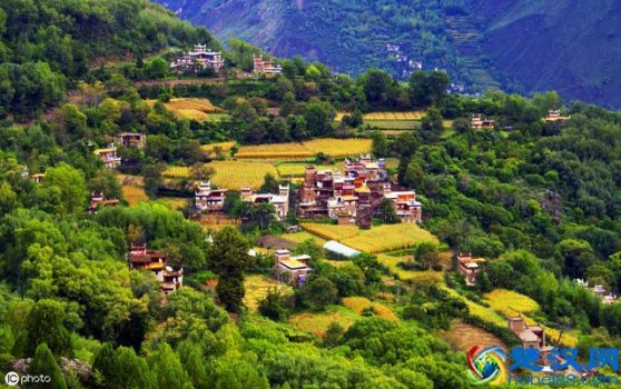  什么是四害（什么是农村“新四害”）