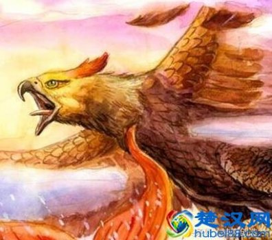  鲲鹏是什么鸟？鲲鹏的寓意是什么？