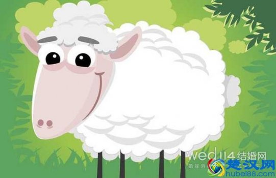  属羊的和什么属相最配？算命大师给你绝佳婚配搭档