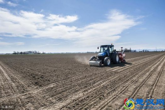  未来五年农村致富好项目，不可错过哦
